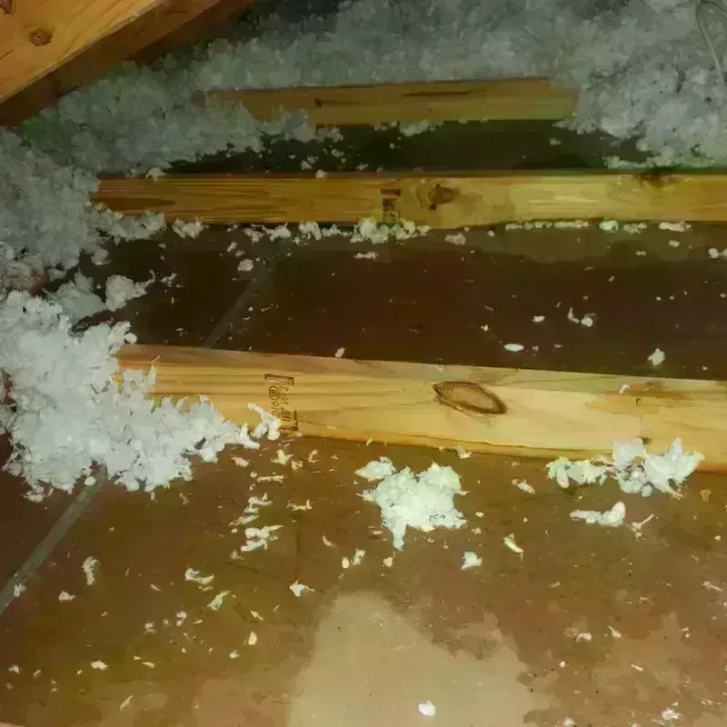 Attic Water Damage in Esparto, CA